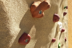 184910731_3877366349036881_5151336430231516429_n