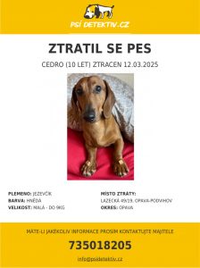 Ztratil se pes