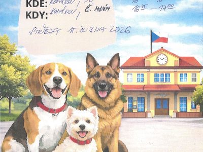 Očkování psů proti vzteklině