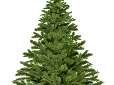 Kam s&nbsp;vánočním stromkem?